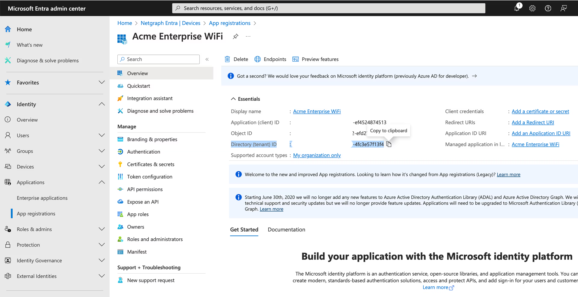 Application overview page in Microsoft Entra showing the Directory (Tenant) ID value
