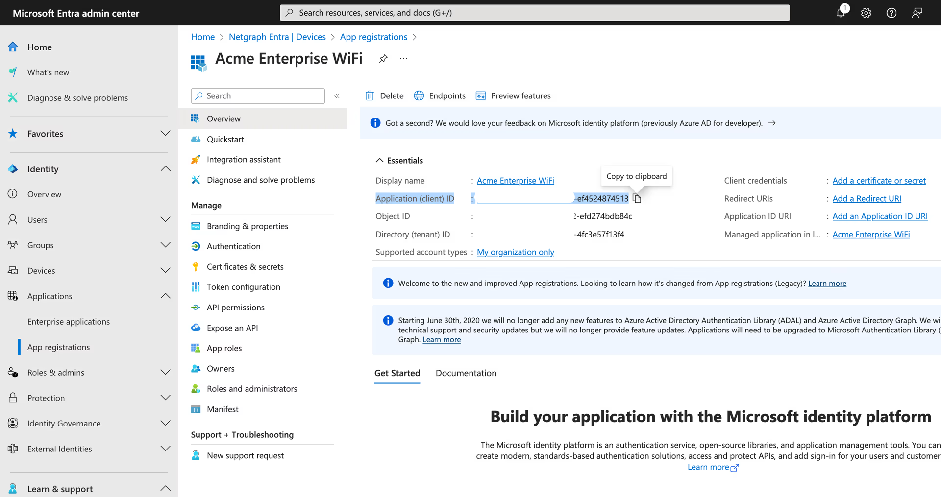 Application overview page in Microsoft Entra showing the Application (Client) ID value